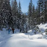 Отель Royal Cortina Кортина-д'Ампеццо